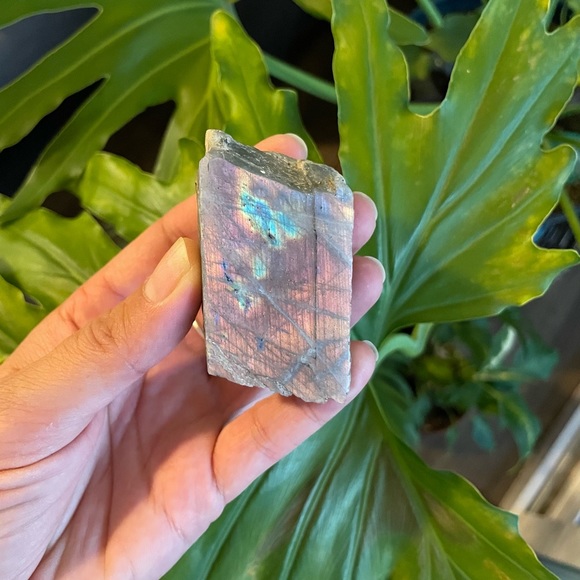 Je Gift of Transformation - Picture 5 of 10